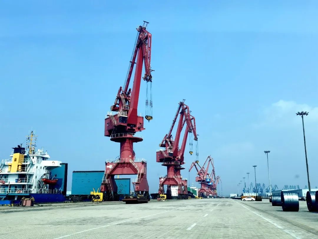 【地瓜经济专题】浙商BTI体育：让“地瓜经济”藤广根壮